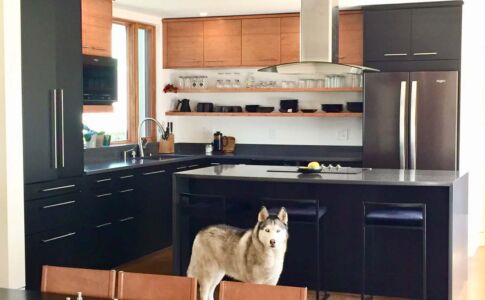 Sustainable materials used in the home include bamboo and recycled plastic soda bottles for cabinet fronts. The stain for the concrete floor is a simple garden additive which, unlike most types of concrete stain, is completely non-toxic. In fact, it is used to supply important nutrients to plants. Photo of custom kitchen